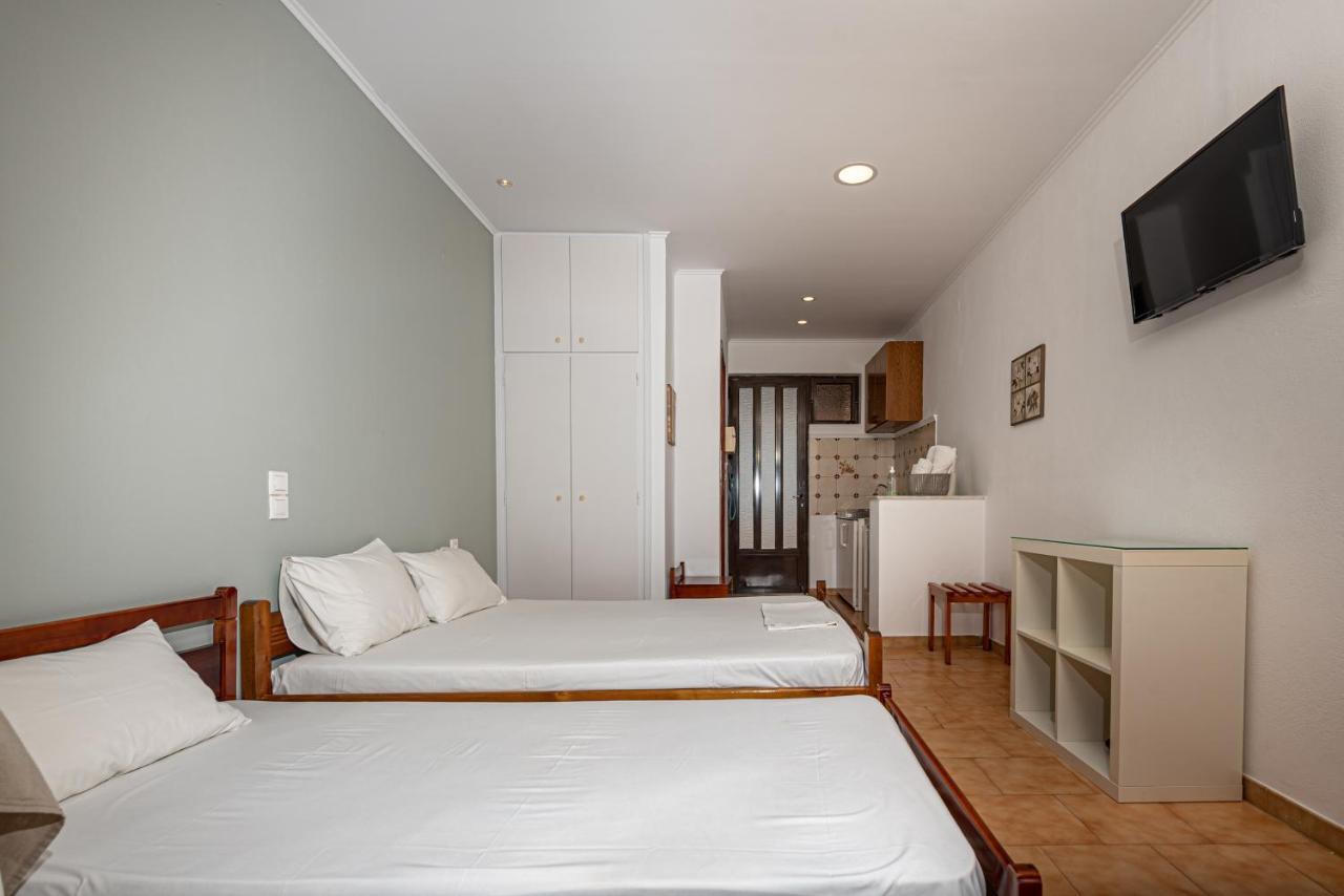 Metsovo Studios Laganas Extérieur photo